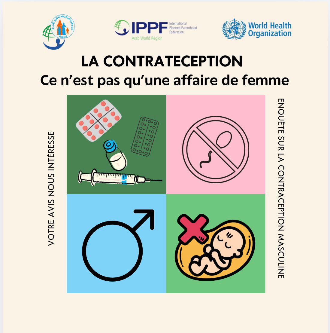 Contraception masculine : vers un rééquilibrage des responsabilités reproductives ?